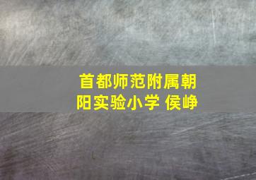 首都师范附属朝阳实验小学 侯峥